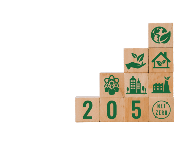 Wooden blocks arranged to symbolize sustainability goals, with '2050 net zero' highlighted.