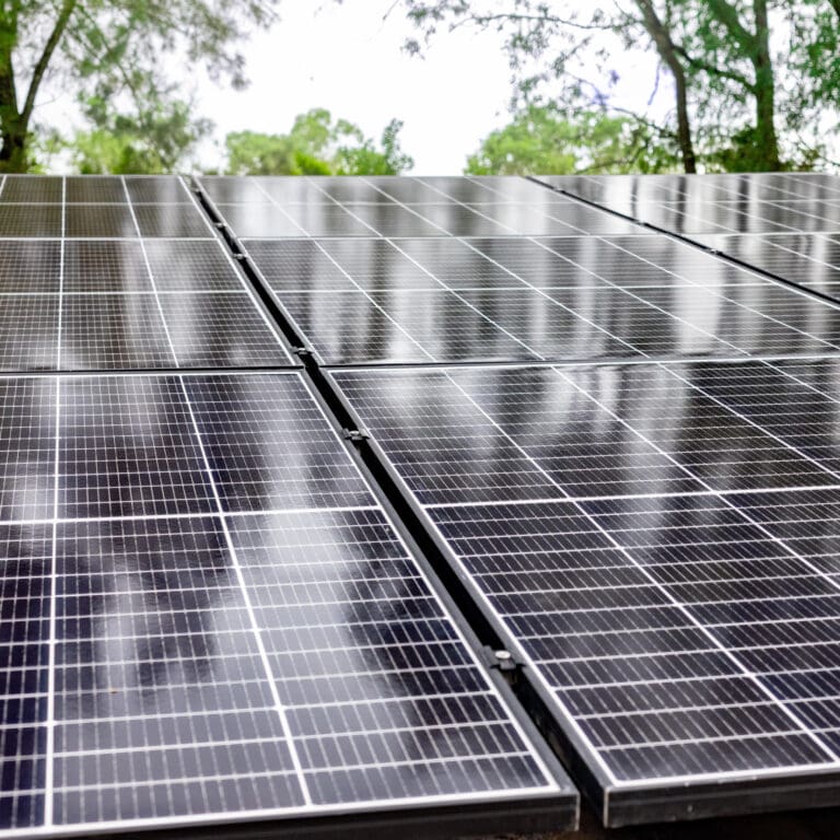 Solar panels on a roof with trees in the background.