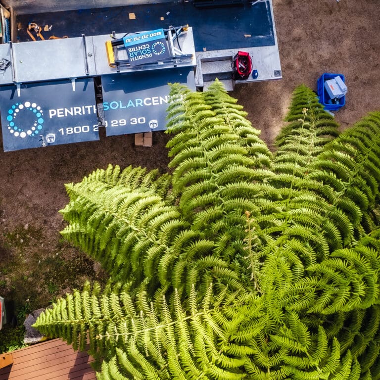 An aerial view of a fern near a boat.