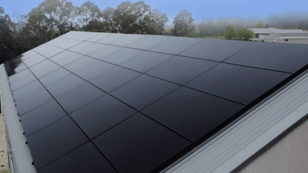 A close-up view of dark solar panels covering a rooftop on a foggy day, with trees and a building visible in the misty background.