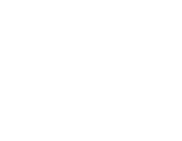 A graphic of the grid.